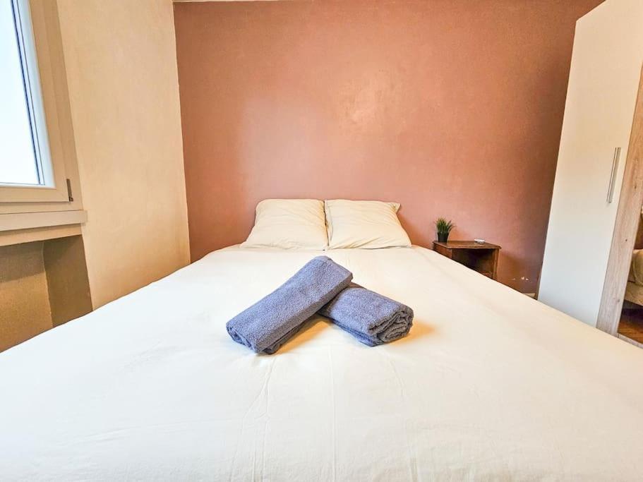Le Bergson 3 Chambres Stationnement Gratuit Сент-Етьєн Екстер'єр фото