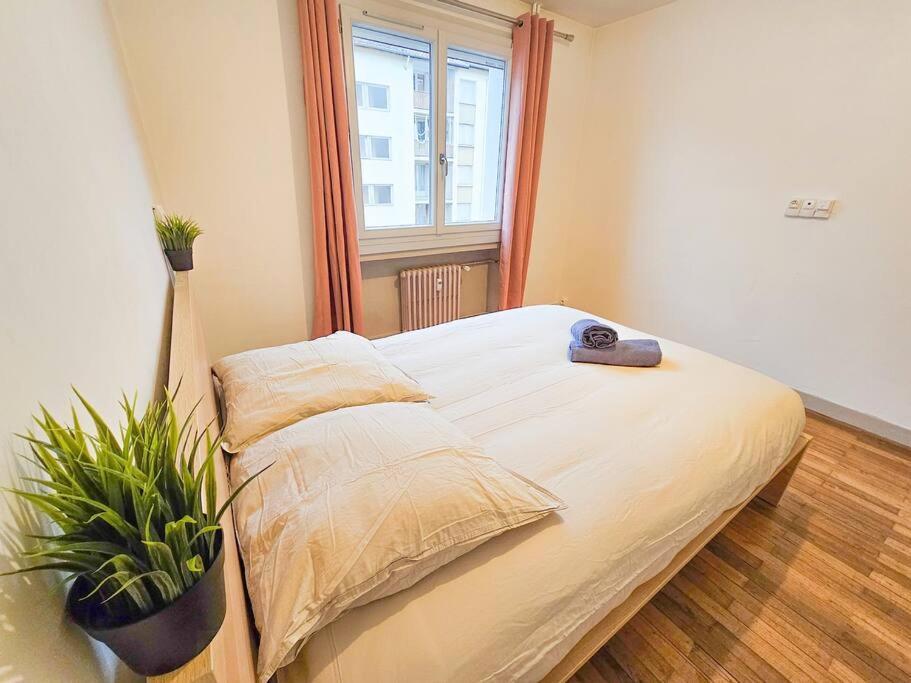 Le Bergson 3 Chambres Stationnement Gratuit Сент-Етьєн Екстер'єр фото