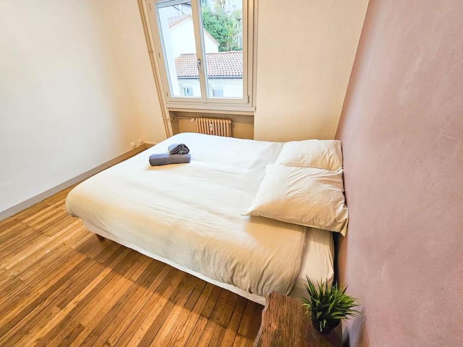 Le Bergson 3 Chambres Stationnement Gratuit Сент-Етьєн Екстер'єр фото