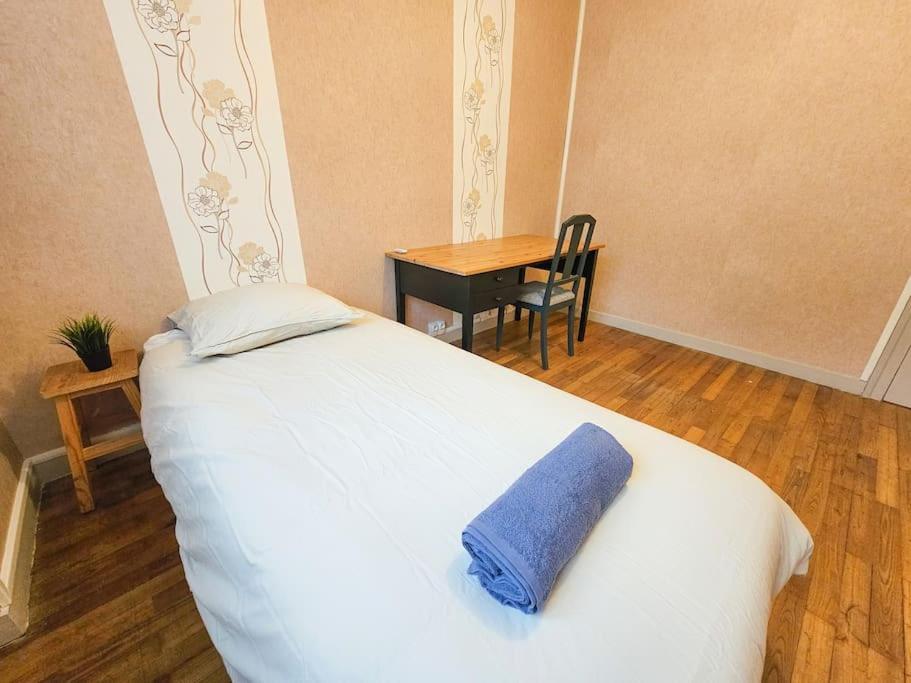 Le Bergson 3 Chambres Stationnement Gratuit Сент-Етьєн Екстер'єр фото